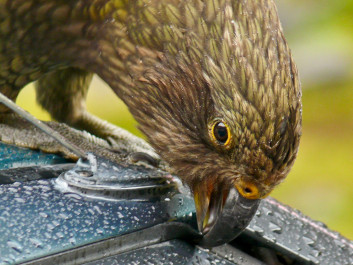Milford Sound - Nouvelle Zélande